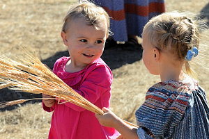 HARVEST