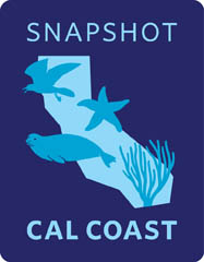 Snapshot Cal Coast