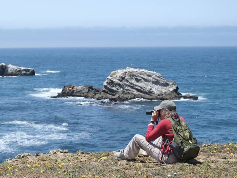 Citizen Science