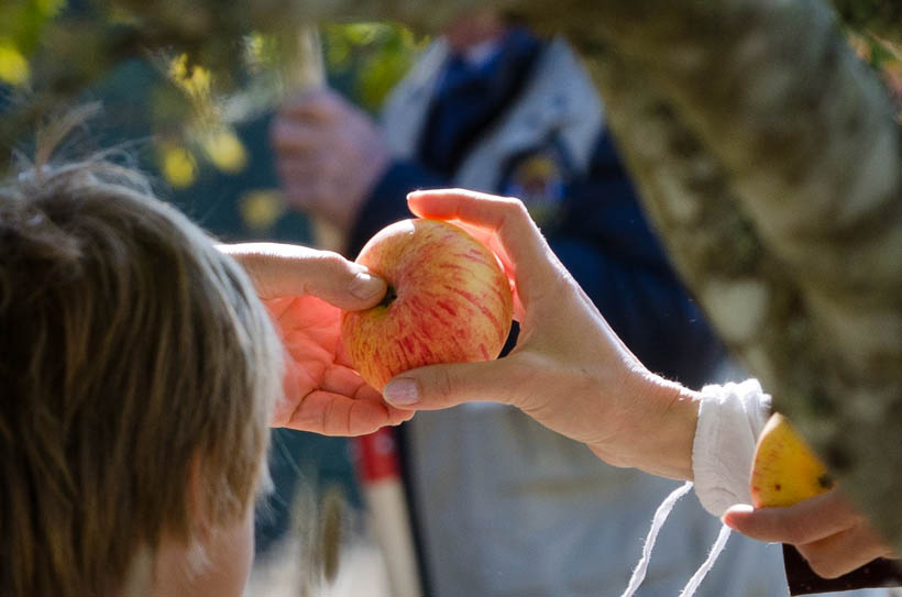 Community Apple Picking at Fort Ross