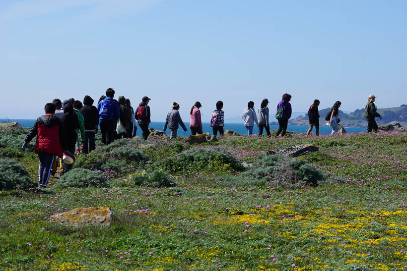 Marine Ecology Program, Hiking Salt Point State Park