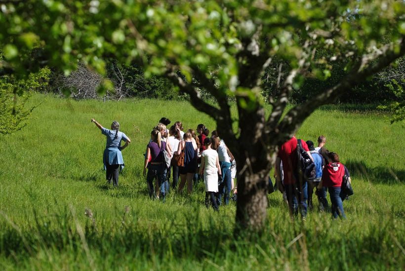 Orchard Tour at Fort Ross State Park