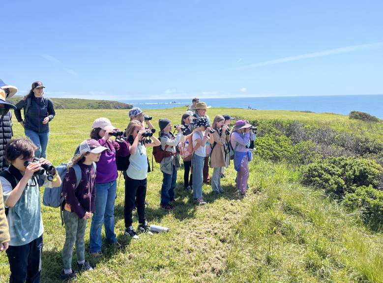 Students looking at harbor seals