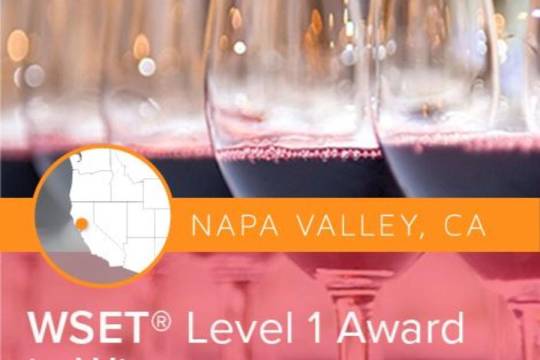 wset_level_1_16903672601.jpg