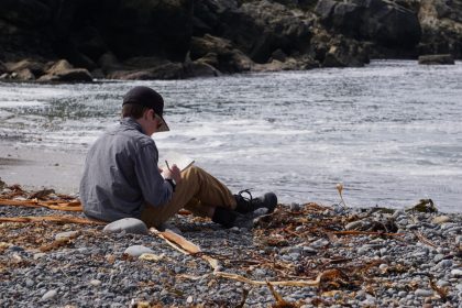 Marine Mammal Monitoring