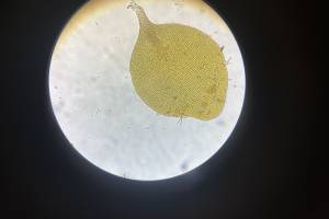 GFCBNMS_20230712_RachaelKarm_49