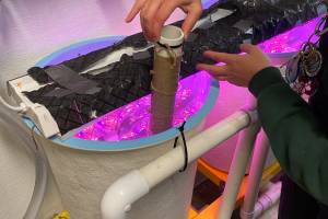GFNMS_20230531_JStock_20