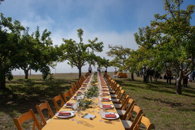 Grand Luncheon in the Historic Orchard of Fort Ross