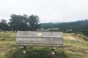 Bench