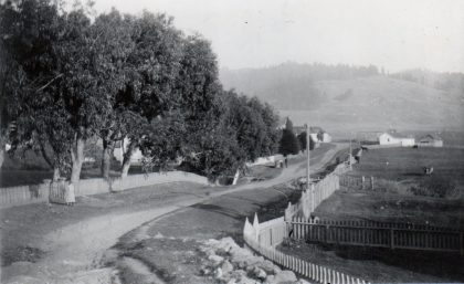 OLD VIEW