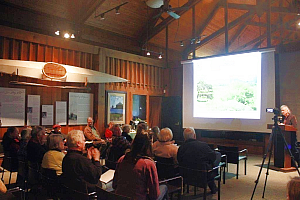 The Auditorium