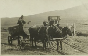 Russian-German Farmers in North Dakota